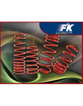 Lowering springs BMW X5 F15 lowering VA approx. 40 mm * EXPORT *