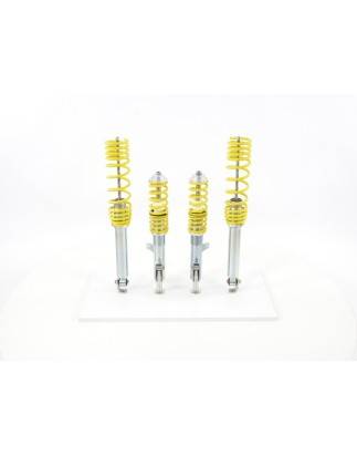 FK coilover kit for Renault Twingo C06 1993-2007