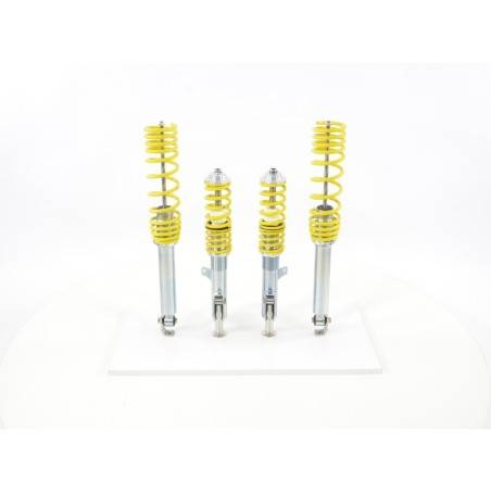 FK coilover kit for Renault Twingo C06 1993-2007