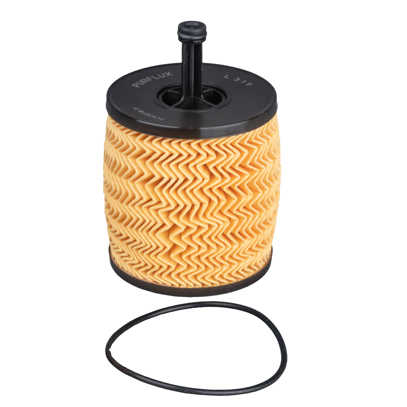 Oil Filter VW Phaeton Touareg V10 Purflux L319