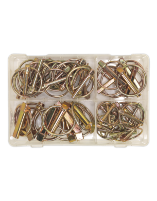 Linch Pin Assortment 50pc Metric