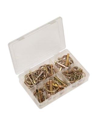 Linch Pin Assortment 50pc Metric