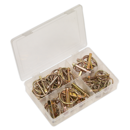 Linch Pin Assortment 50pc Metric