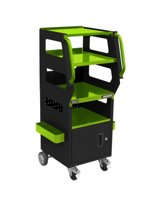 Multipurpose Trolley for Diagnostics 4-Level