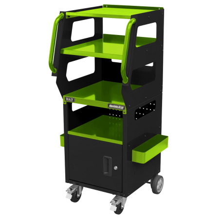 Multipurpose Trolley for Diagnostics 4-Level