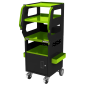 Multipurpose Trolley for Diagnostics 4-Level