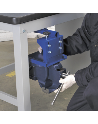 Vice Mounting Plate for API Series Workbenches