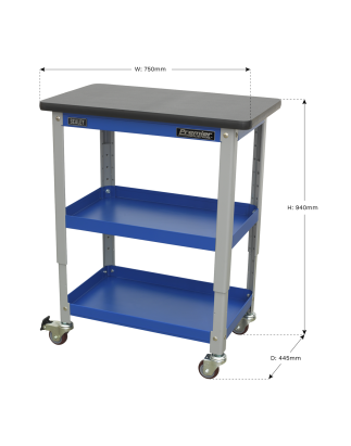 Industrial 3-Level Workshop Trolley