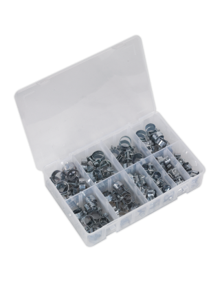 Assortiment de mini colliers de serrage 100 pièces