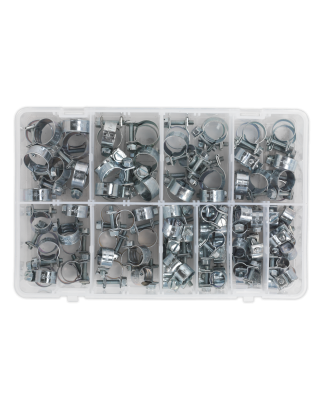 Assortiment de mini colliers de serrage 100 pièces