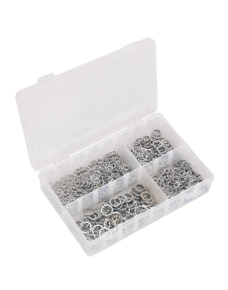 Lock Washer Assortment 1000pc Serrated Internal M5-M10 Metric