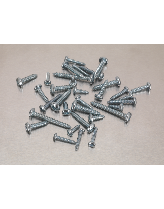 Self-Tapping Screw Assortment DIN 7981CZ 700pc Pan Head Pozi Zinc