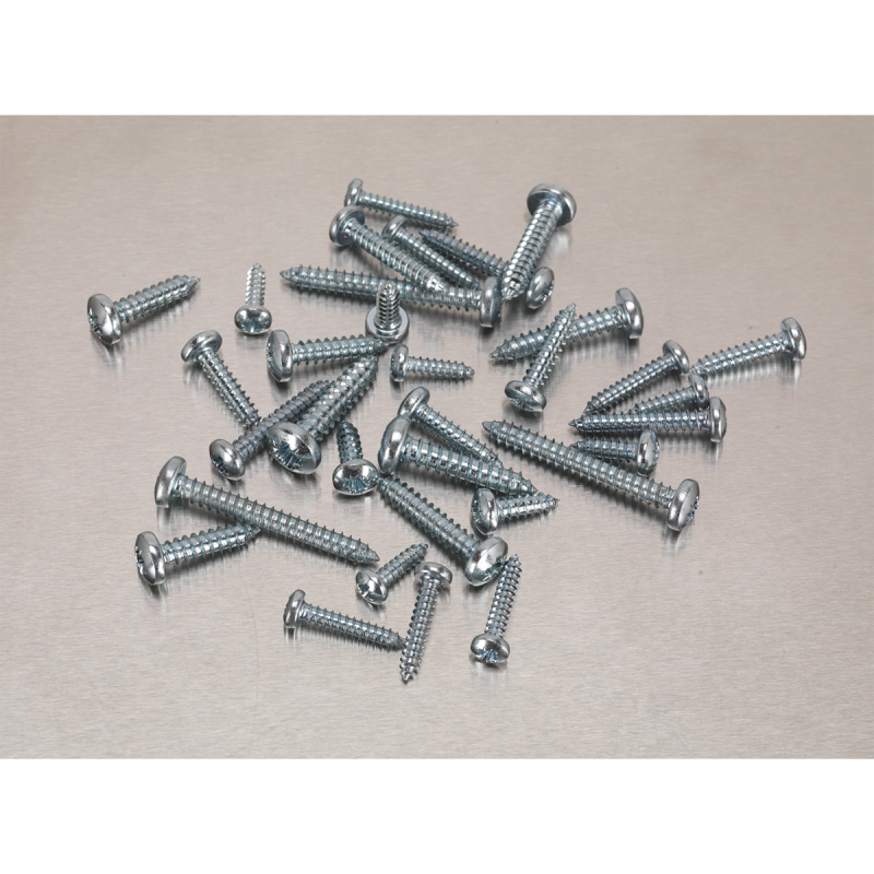 Self-Tapping Screw Assortment DIN 7981CZ 700pc Pan Head Pozi Zinc