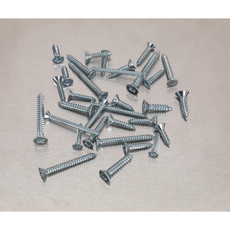 Self-Tapping Screw Assortment 600pc Countersunk Pozi Zinc