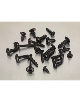 Self-Tapping Screw Assortment 700pc Flanged Head