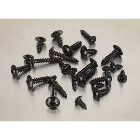 Self-Tapping Screw Assortment 700pc Flanged Head