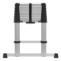 Échelle télescopique 11 marches en aluminium - BS EN 131