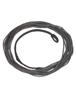 Corde Dyneema® pour ATV1135 4,9 mm x 15,2 m