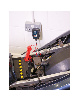 6/12V Compact Smart Trickle Charger & Maintainer 1A