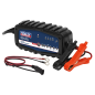 6/12V Compact Auto Smart Charger & Maintainer 2A