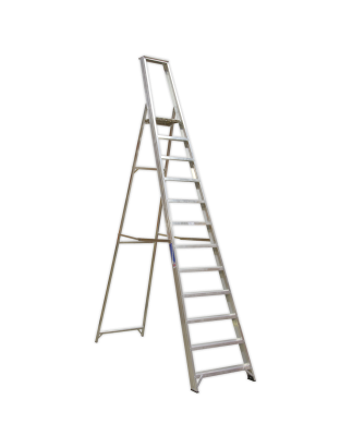 Industrial Step Ladder 12-Tread Aluminium - BS 2037/1