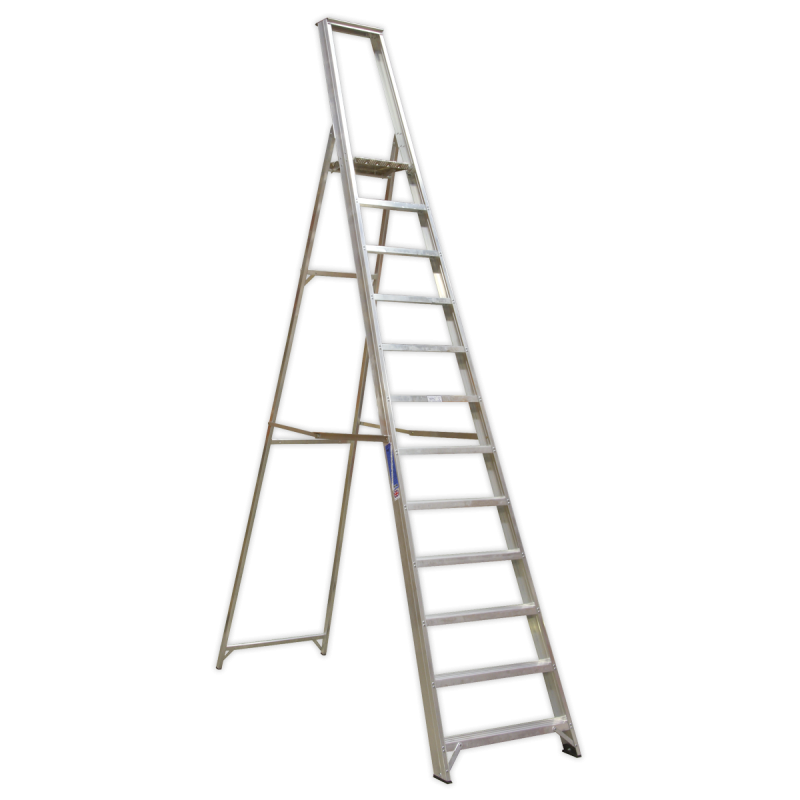 Industrial Step Ladder 12-Tread Aluminium - BS 2037/1