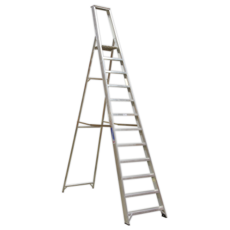 Industrial Step Ladder 12-Tread Aluminium - BS 2037/1