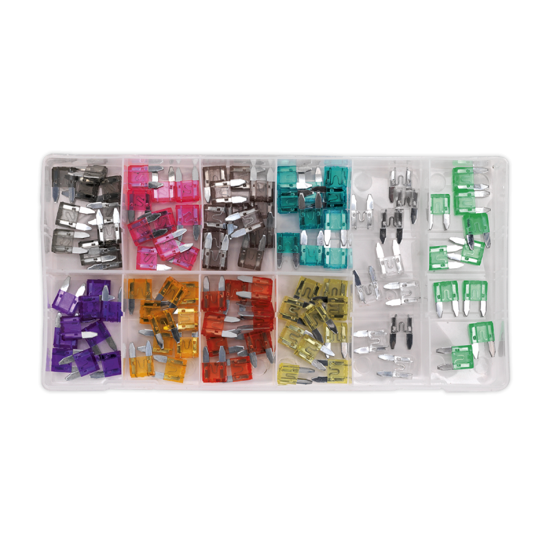 Automotive MINI Blade Fuse Assortment 100pc