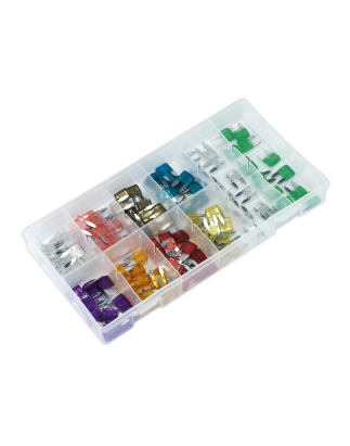 Automotive MINI Blade Fuse Assortment 100pc