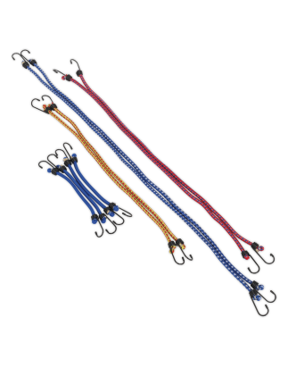 Elastic Cord Set 10pc