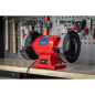 Heavy-Duty 200mm Bench Grinder 600W/230V