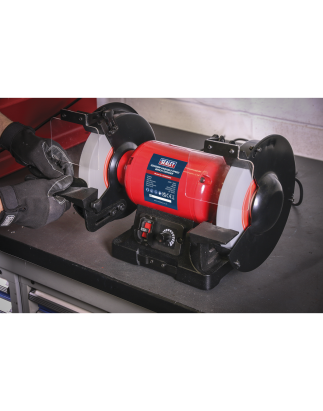 200mm Bench Grinder with Variable Speed 550W/230V