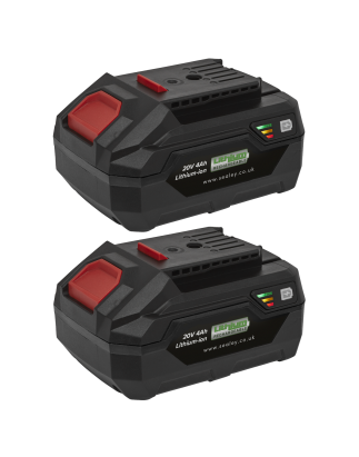 Power Tool Battery Pack 20V 4Ah Kit for SV20 Series