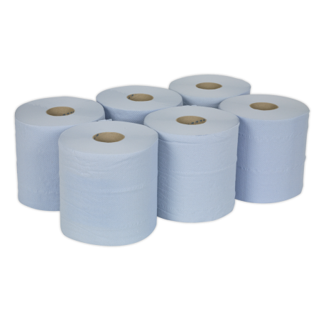 Paper Roll Blue 2-Ply Embossed 150m Pack of 6