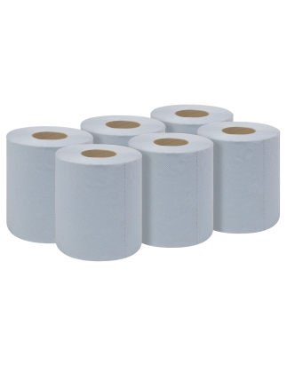 Blue Embossed 2-Ply Paper Roll 60m - Pack of 6