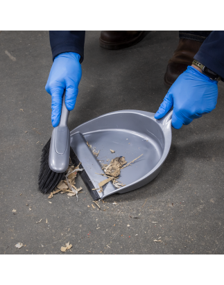 Dustpan & Brush Set Composite