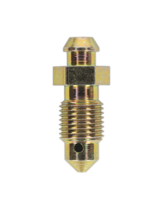 Brake Bleed Screw M10 x 30mm 1mm Pitch Pack of 10