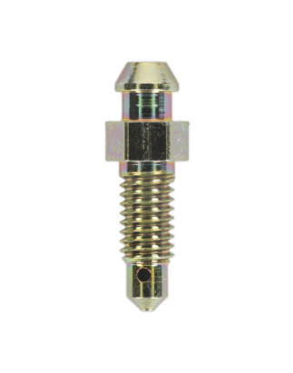 Brake Bleed Screw M6 x 29mm 1mm Pitch Pack of 10