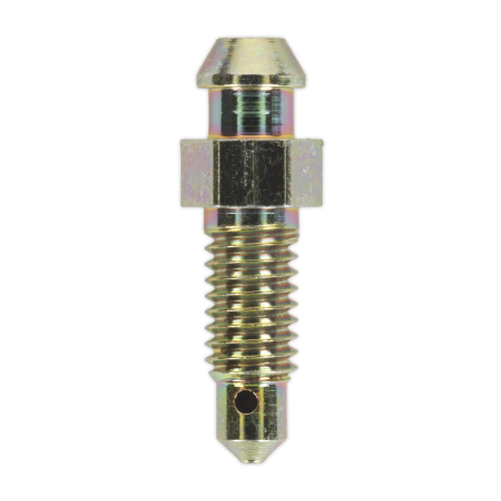 Brake Bleed Screw M6 x 29mm 1mm Pitch Pack of 10