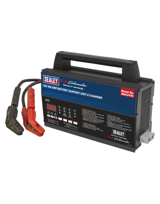 Unité de support de batterie 12 V et chargeur 100 A