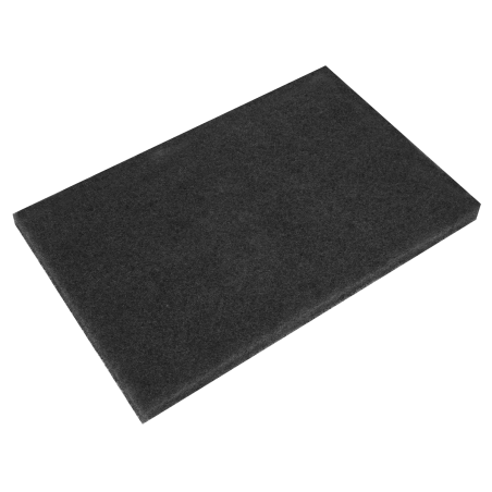 Black Stripping Pads 12 x 18 x 1" - Pack of 5