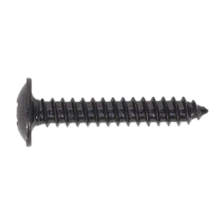 Self-Tapping Screw 4.2 x 25mm Flanged Head Black Pozi Pack of 100