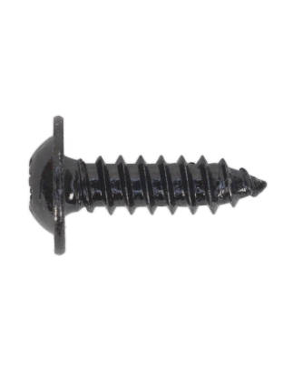 Self-Tapping Screw 4.8 x 16mm Flanged Head Black Pozi Pack of 100