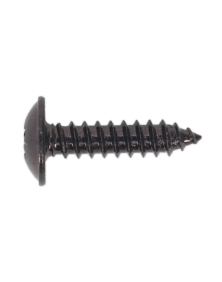 Self-Tapping Screw 4.8 x 19mm Flanged Head Black Pozi Pack of 100