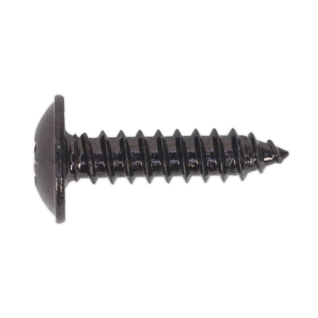 Self-Tapping Screw 4.8 x 19mm Flanged Head Black Pozi Pack of 100