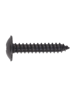 Self-Tapping Screw 4.8 x 25mm Flanged Head Black Pozi Pack of 100