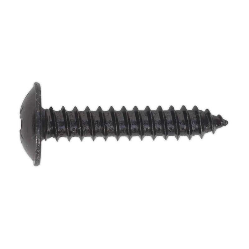 Self-Tapping Screw 4.8 x 25mm Flanged Head Black Pozi Pack of 100