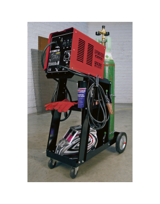 Universal Trolley for Portable MIG Welders