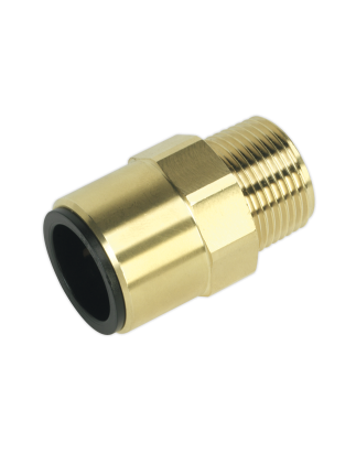 Speedfit® Brass Straight Adaptor 22mm x 3/4"BSPT