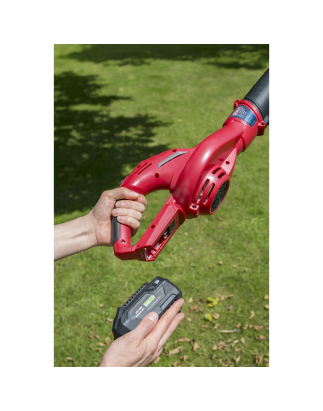 Leaf Blower Cordless 20V SV20 Series - Body Only